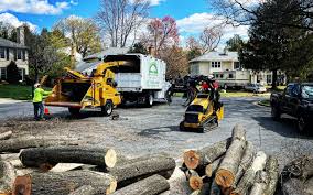 Best Storm Damage Tree Cleanup  in Myrtle Creek, OR